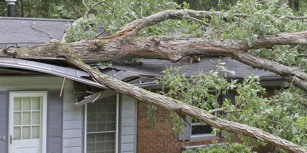 Hurricane Damage Roof Repair Specialists Mobile
