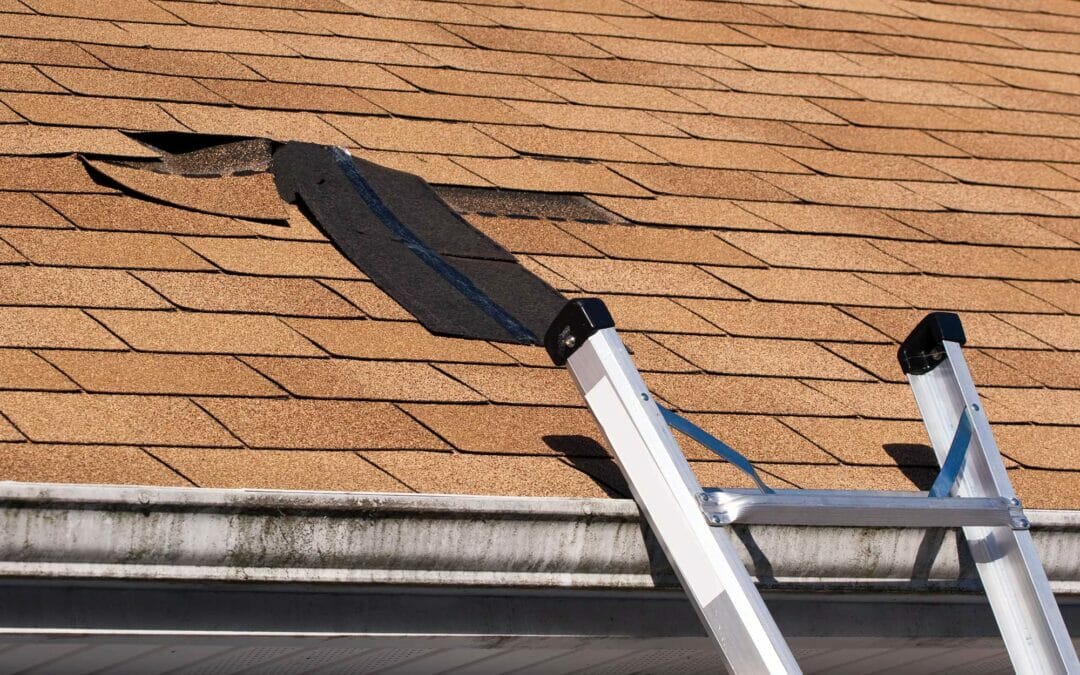 Common Spring Roof Problems in Birmingham (And What to Do About Them)