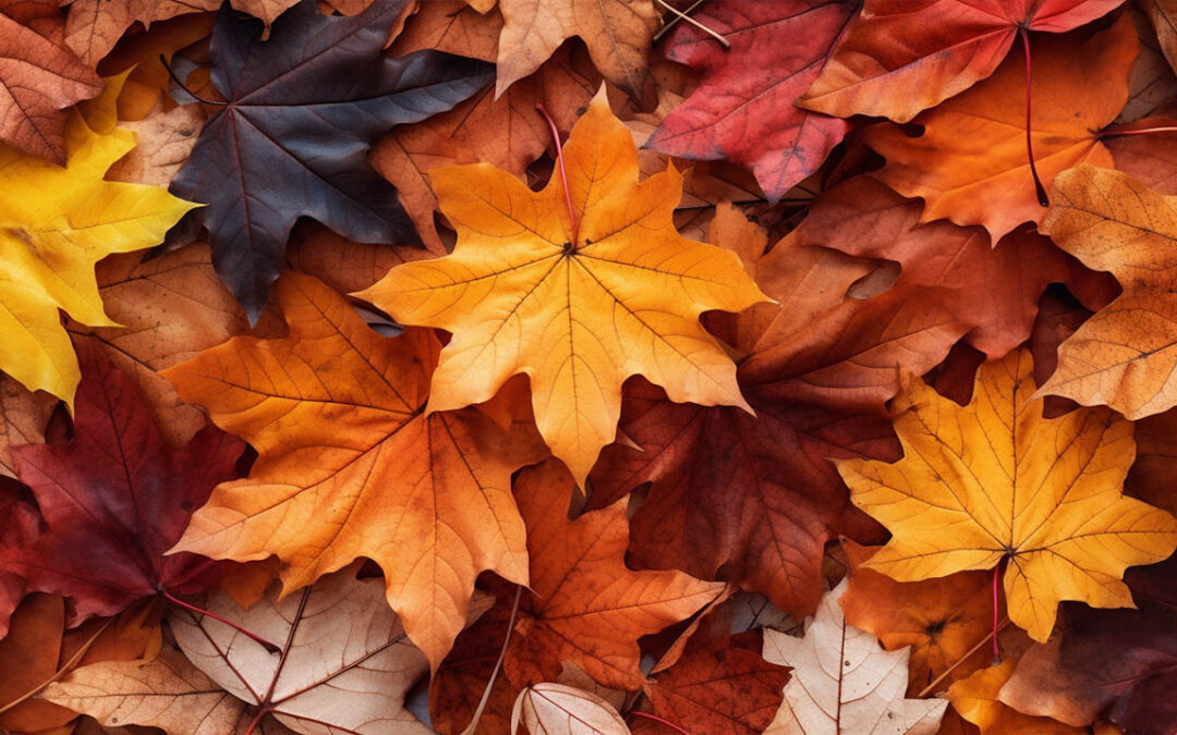 The Hidden Dangers of Fallen Leaves on Your Roof