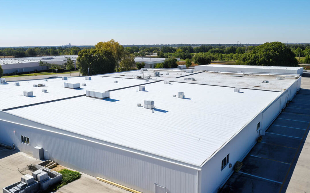 Comprehensive Guide: Selecting the Ideal Commercial Roof for Your Business
