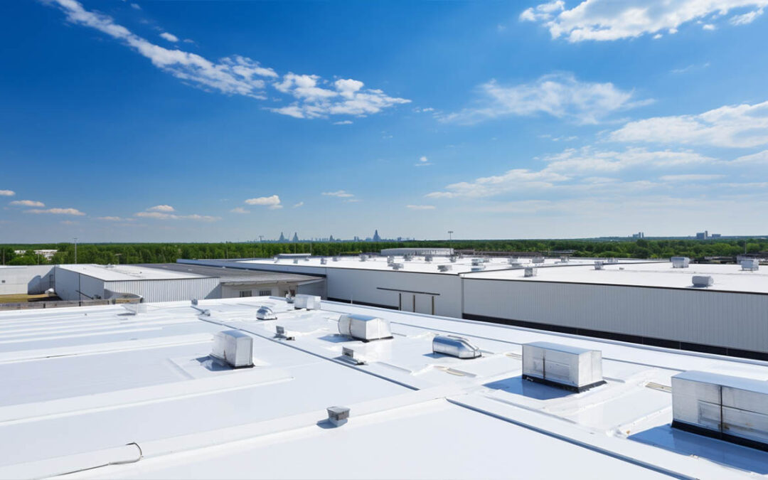 Comprehensive Insights into TPO Roofing Systems: Unveiling What You Need to Know